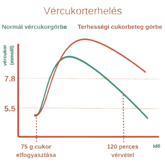 Terhességi cukorgörbe