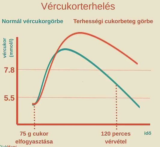 Terhességi cukorgörbe - Your Allulose Store