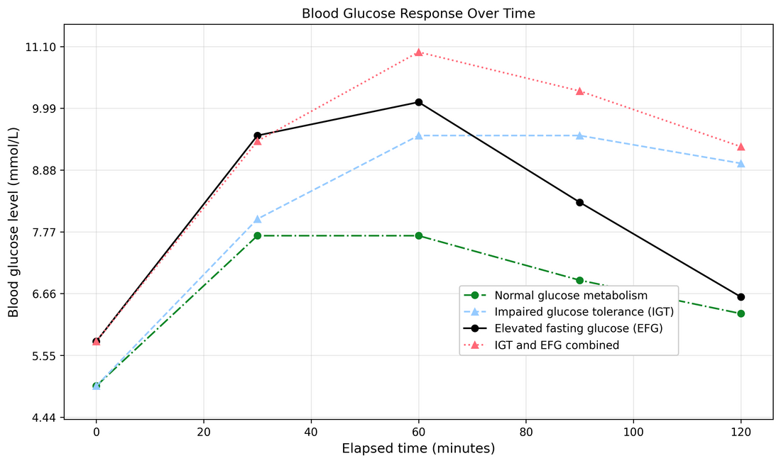 Blood Glucose Response Over Time